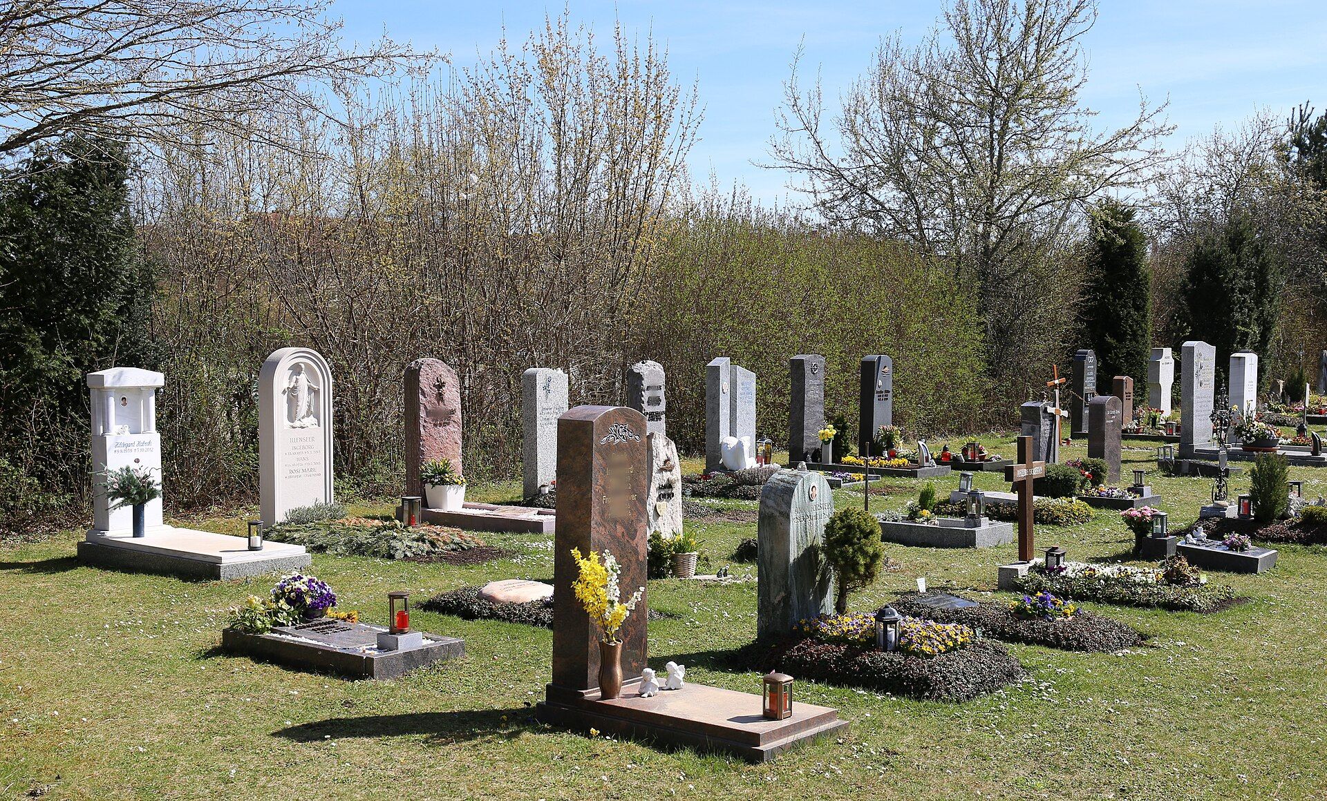 Baumbestandene Wege und Grabfelder auf dem Neuen Südfriedhof München