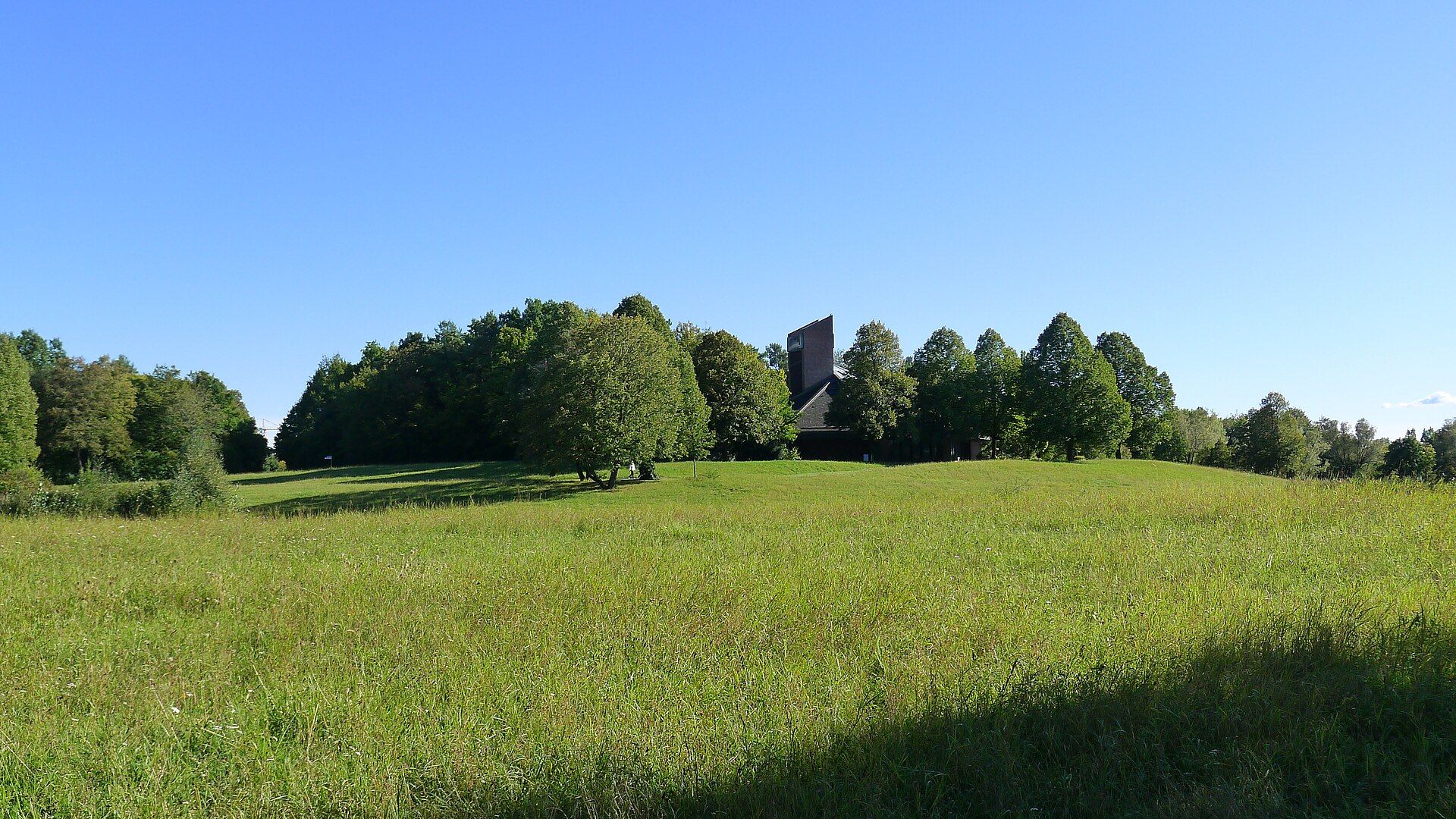Sanft hügelige Friedhofslandschaft mit Wiesen und Bäumen auf dem Neuen Südfriedhof München